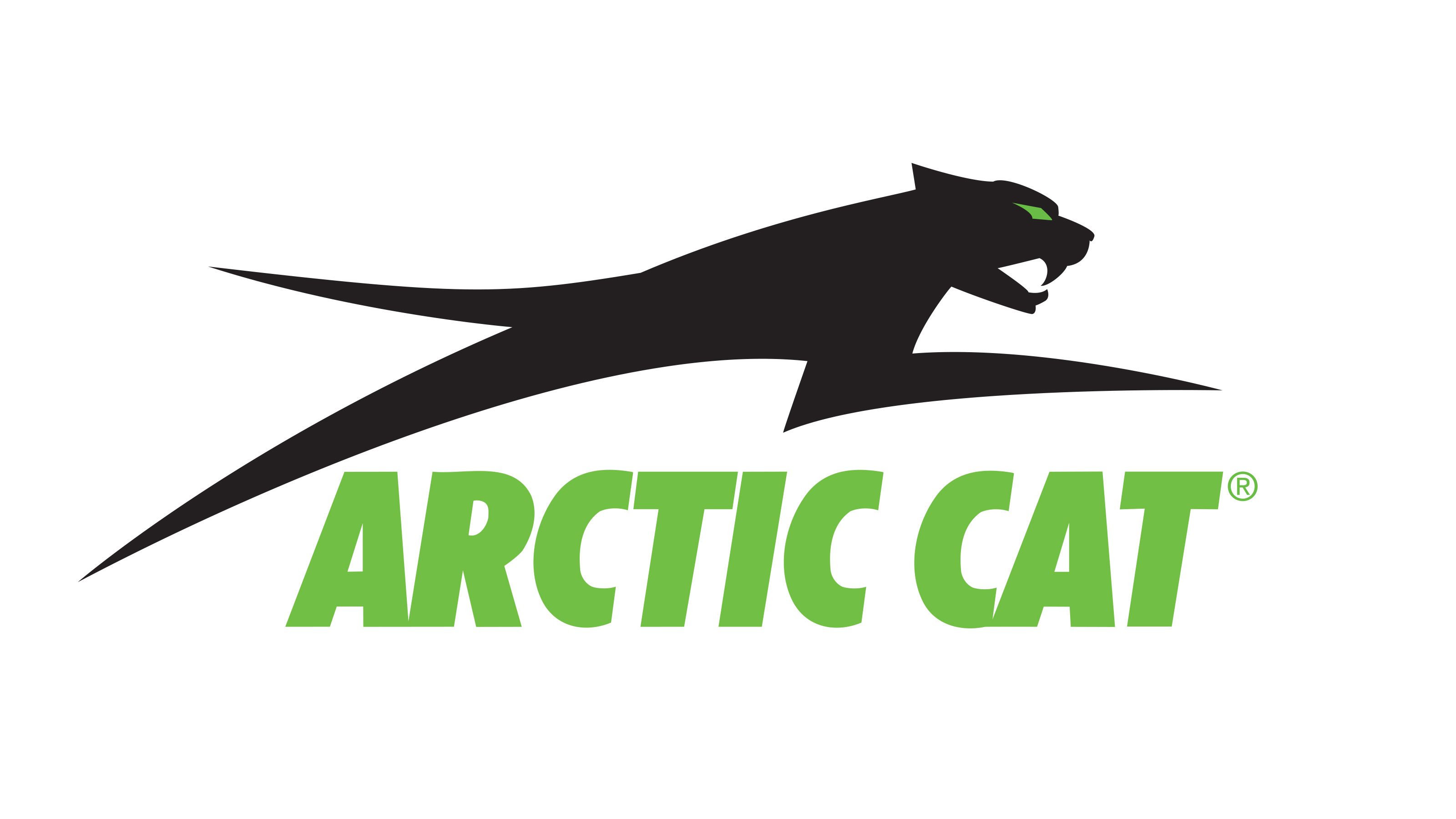 Chat arctique Logo