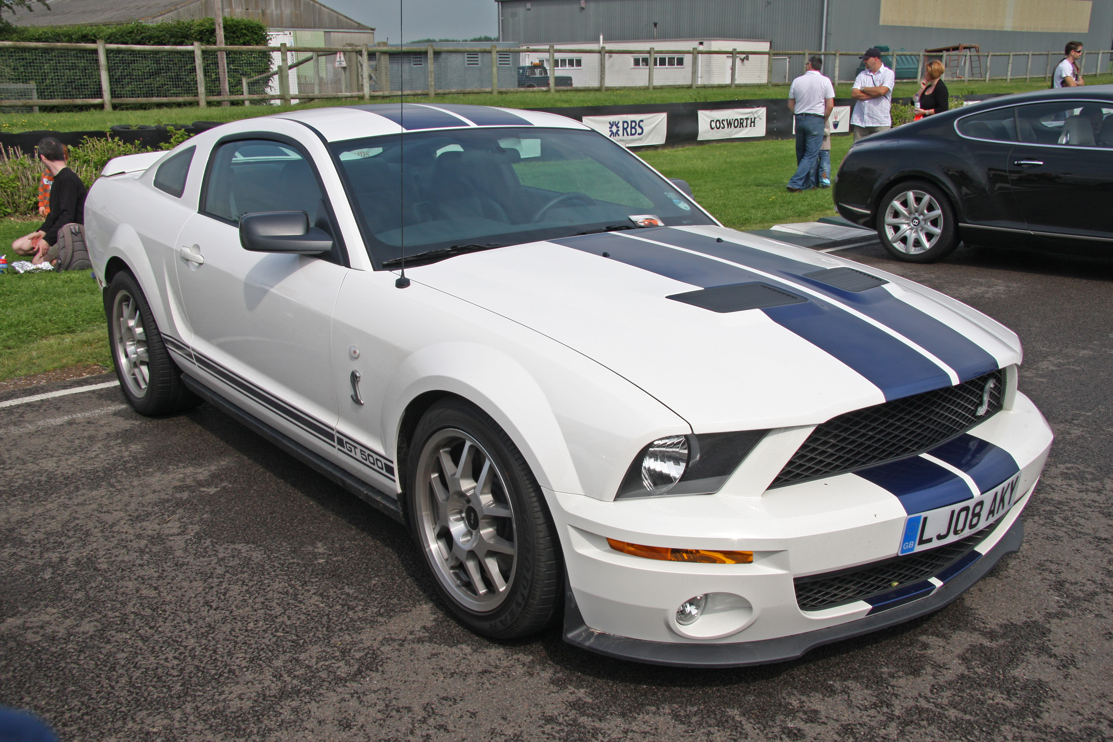 Fichier: Ford Mustang Shelby GT 500 - Flickr - exfordy.jpg - Wikimédia...