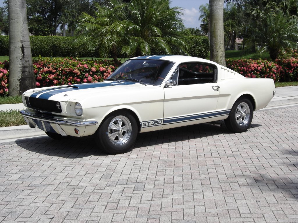 Ford Mustang 1965 Shelby GT350 - Photos - Ford Mustang 1965...