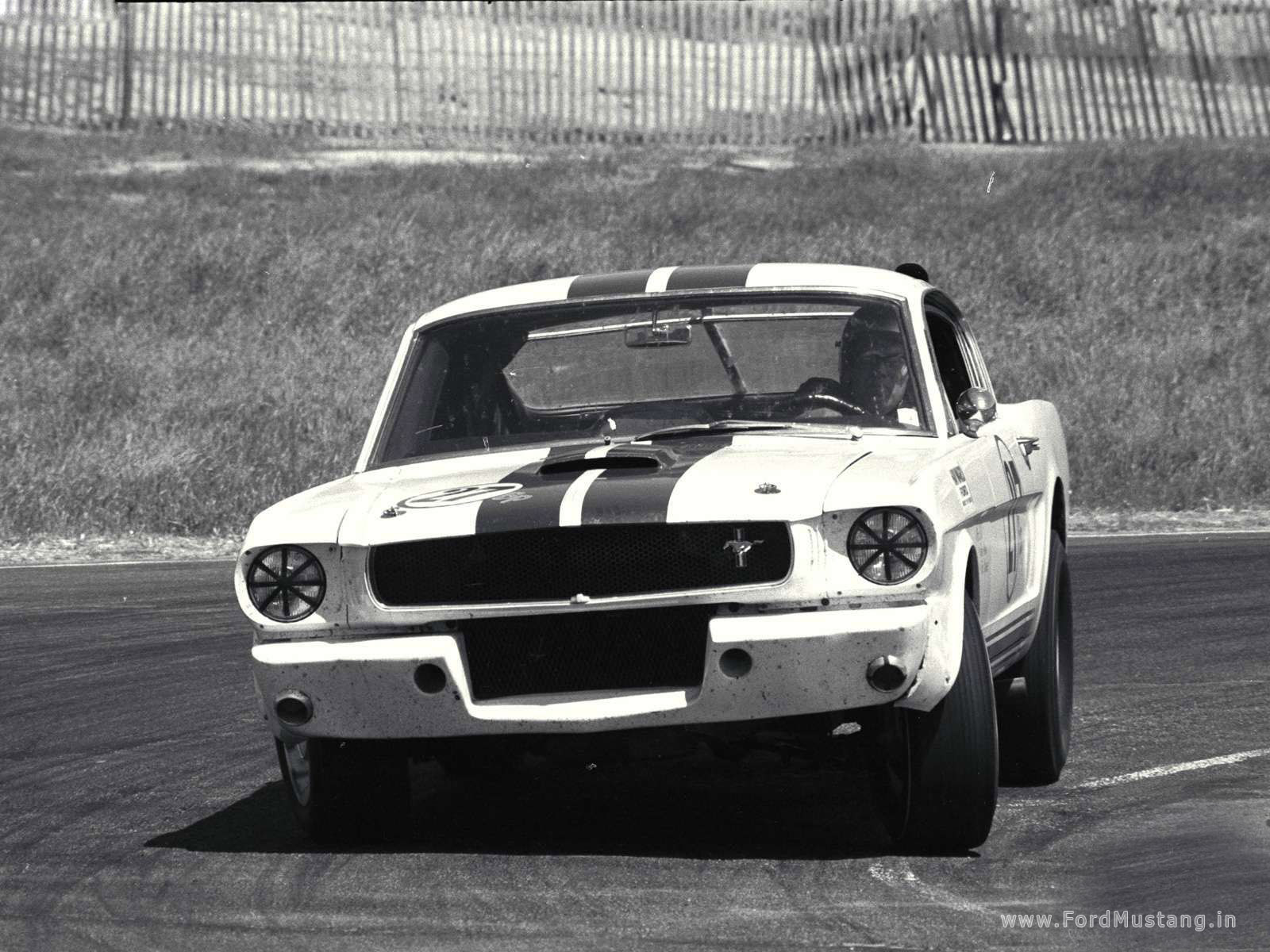 GT350 / Ford Mustang, Ford Mustang Bullitt, Ford Mustang Shelby GT...