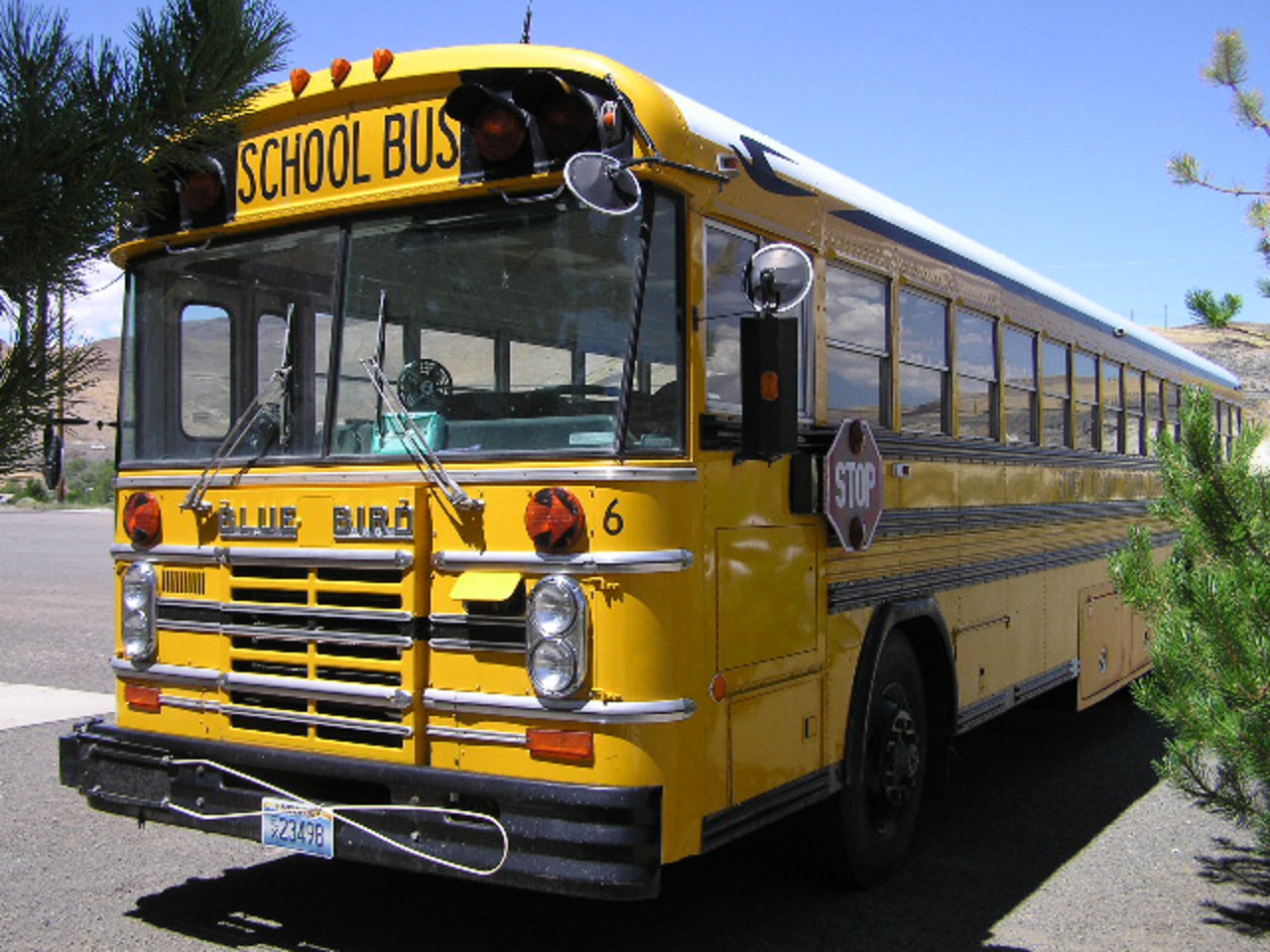 Bus scolaire Central / Oiseau Bleu du milieu des années 1980 Tout Américain FE
