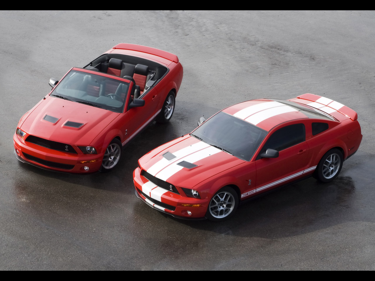 Production Ford Shelby GT500 2007 / Spécifications et photos des voitures de Muscle