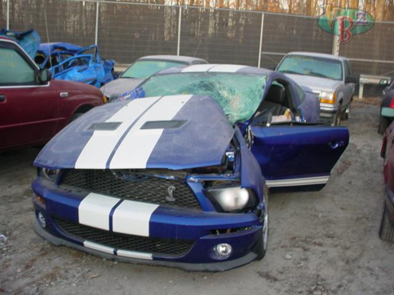 Mustang Shelby GT-500 Totalisée - Forums Ford Mustang
