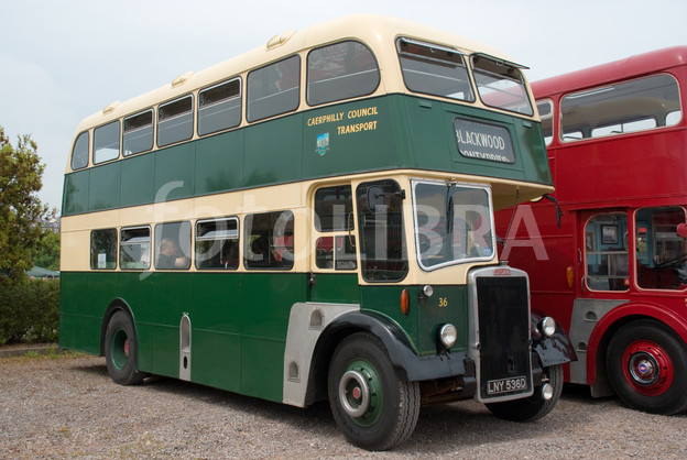 Bus Leyland (aperçu de l'image: FOT674776)