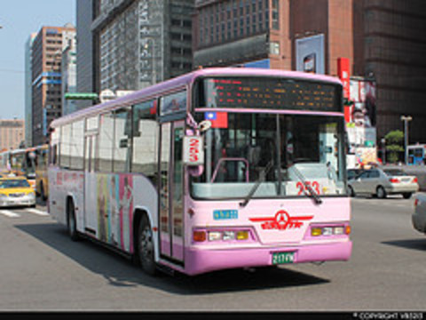 Bus Shin-Shin 2008 Hino RK8JRSA #217-FN vu sur la route 630 à Zhongxiao Ouest