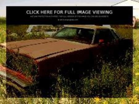 Oldsmobile Cutlass Supreme 2dr HT (image 06)
