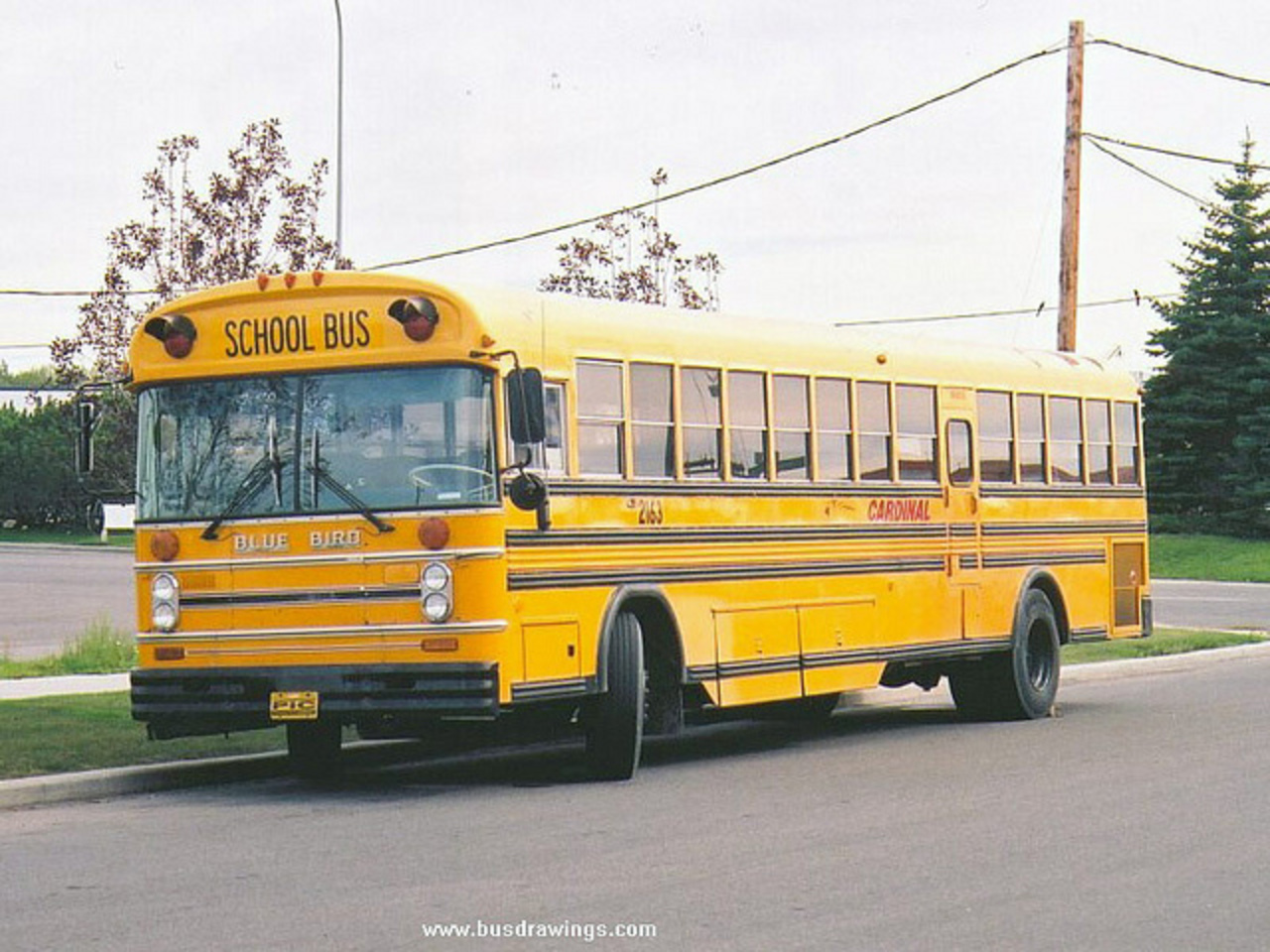 1987 Oiseau Bleu Tout Américain RE 84 bus scolaire de passagers # 2163...