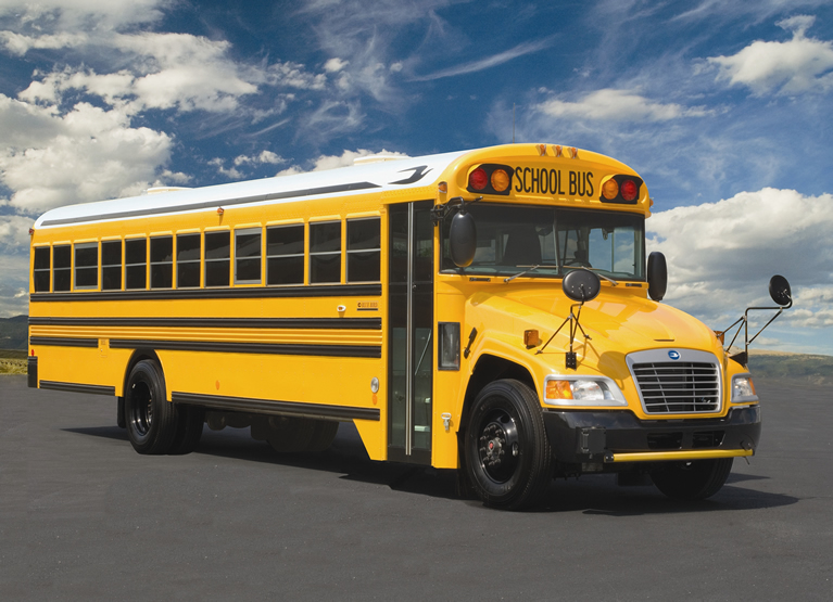 Bus scolaire à oiseaux bleus. Meilleures photos et informations de modification.