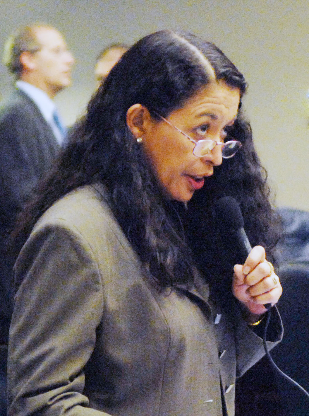 Chambre des représentants de Floride - Susan Bucher - Session ordinaire de 2007