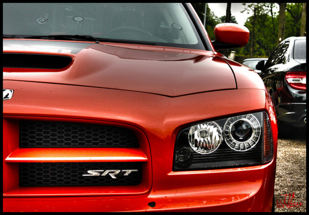 Dodge Charger SRT-8 SuperBee / Flickr - Partage de photos!