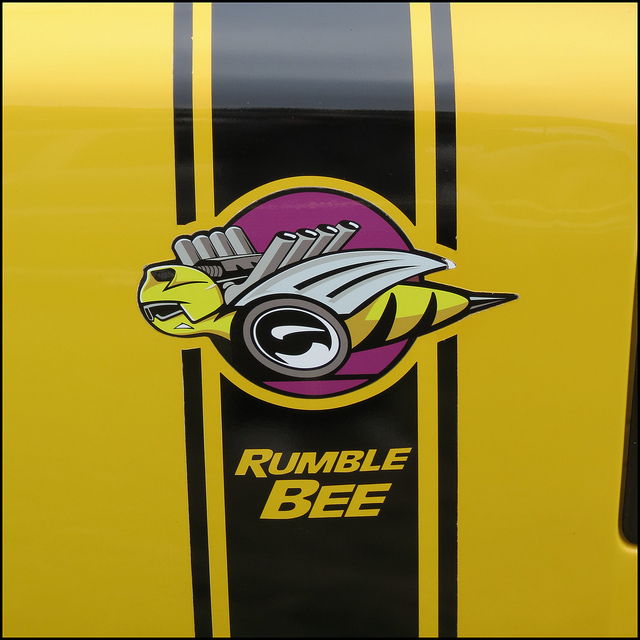 Rumble Bee / Flickr - Partage de photos!
