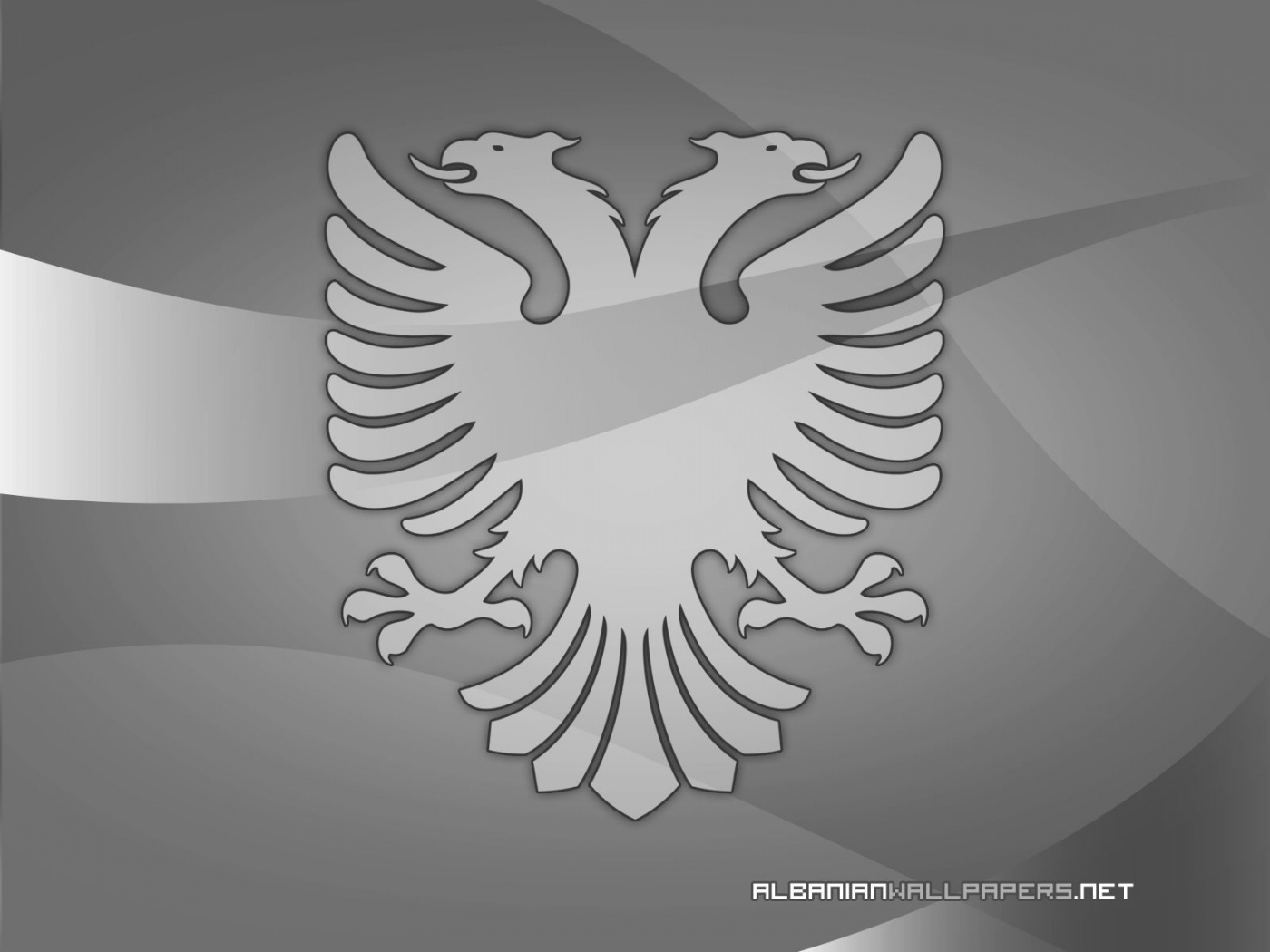 Fonds d'écran Aigle d'argent Albanais 1400x1050 / #186027 #aigle d'argent
