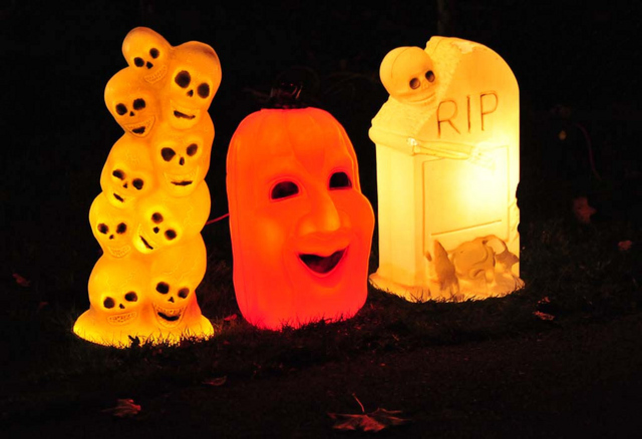 photos et vidéos préférées de juutepetuut | Flickr