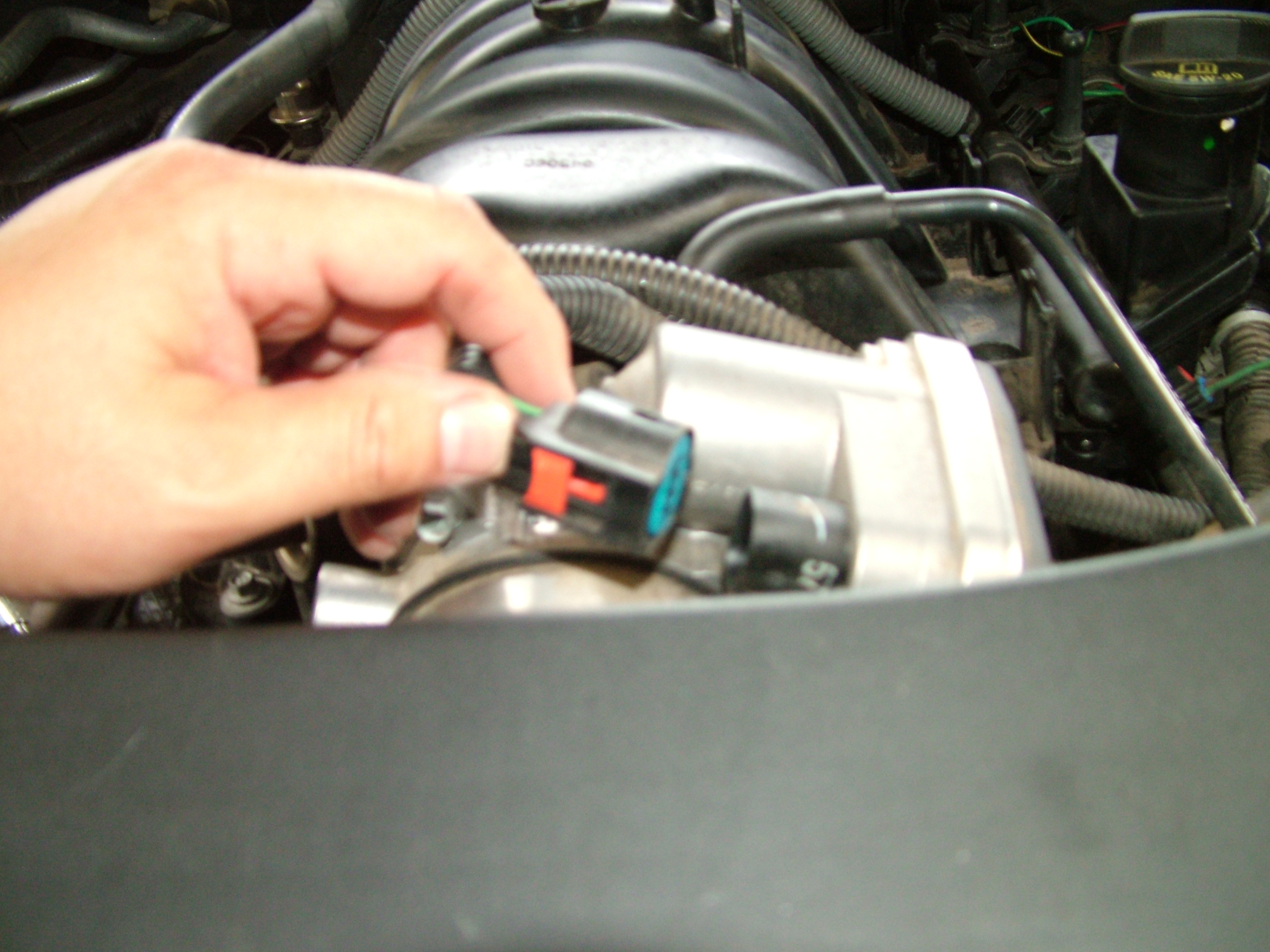 DSCF3737 / Flickr - Partage de photos!