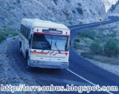Bus de TorreÃ3n: Flecha Amarilla Regional