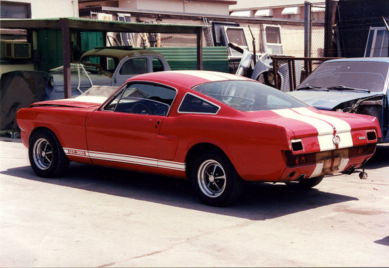 Clone de Mustang Shelby GT 350 1966 / Flickr - Partage de photos!