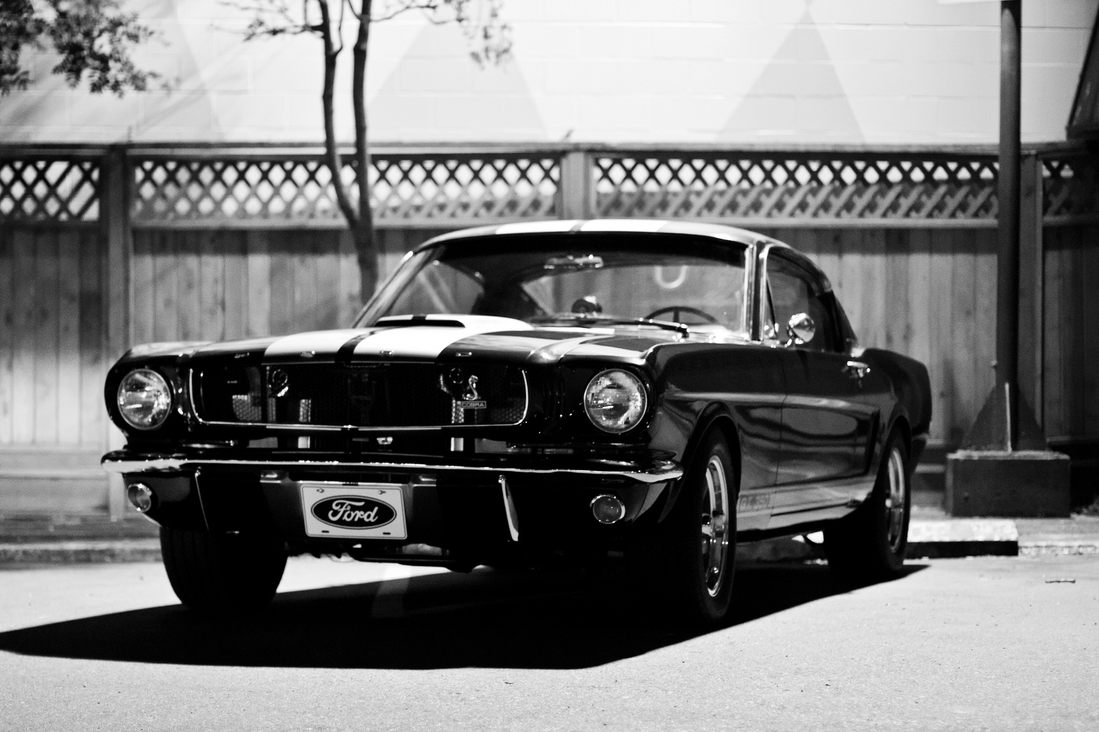 Shelby GT 350 Mustang 1966 / Flickr - Partage de photos!