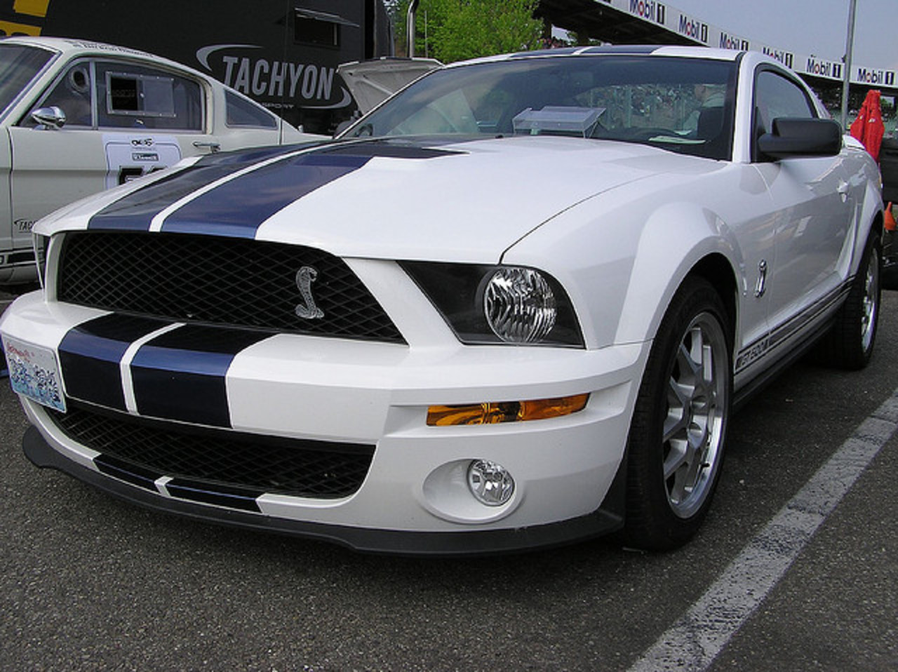 Ford Mustang Shelby GT 500 / Flickr - Partage de photos!