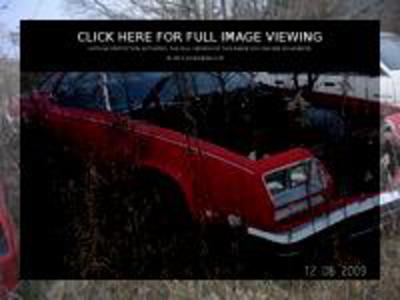 Oldsmobile Cutlass Supreme 2dr HT (image 05)