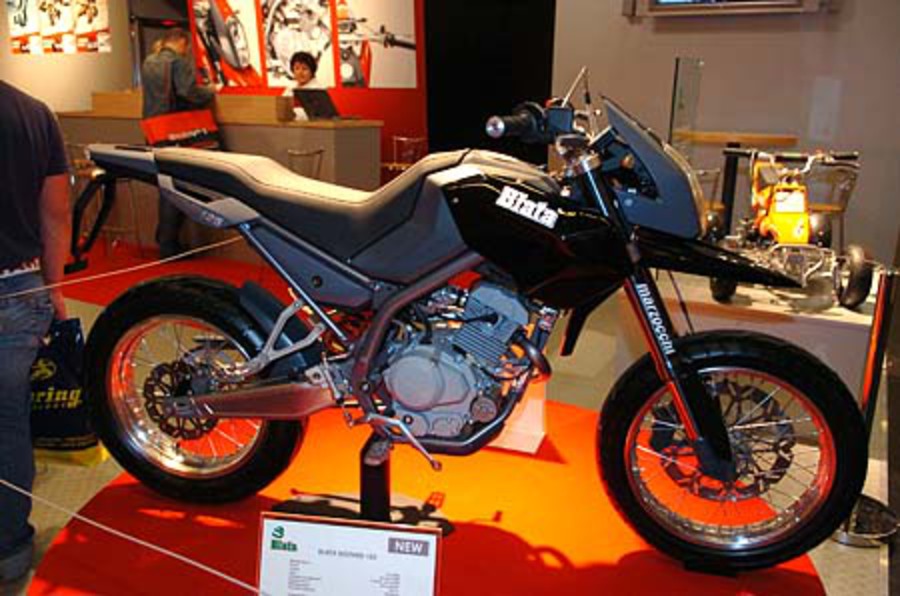 Blatte 125