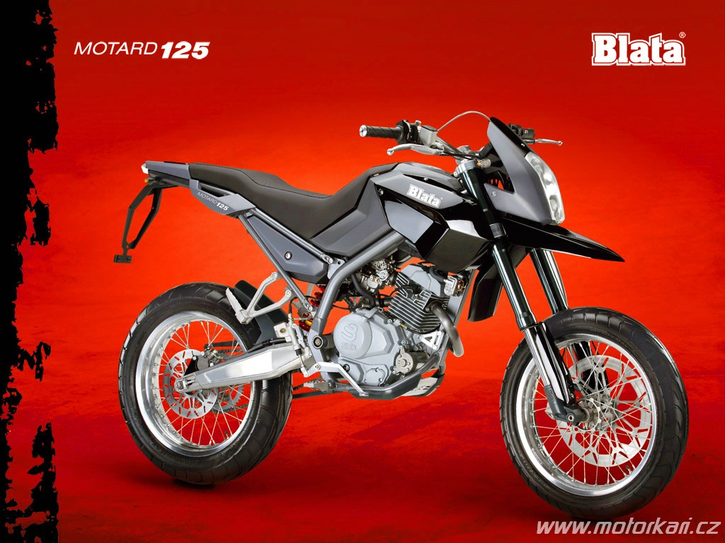 Blatte 125