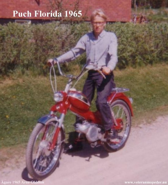 Puch floride