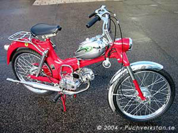 Puch floride