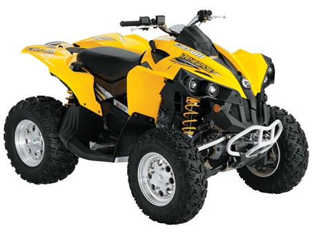 Can-am renegade