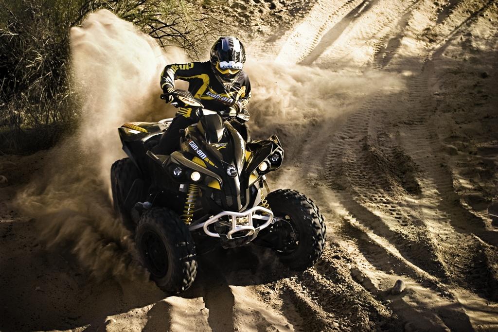 Can-am renegade