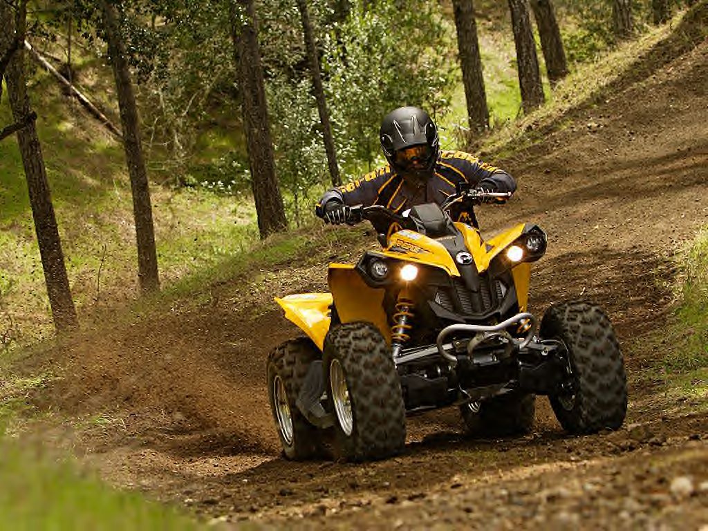 Can-am renegade