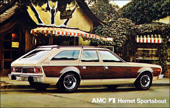 A propos d'AMC Hornet
