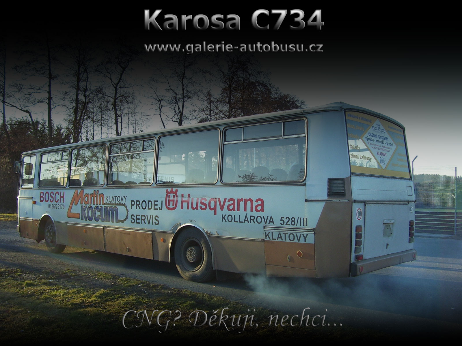 Karina C734