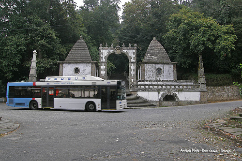 L'HOMME Caetano VIAbus