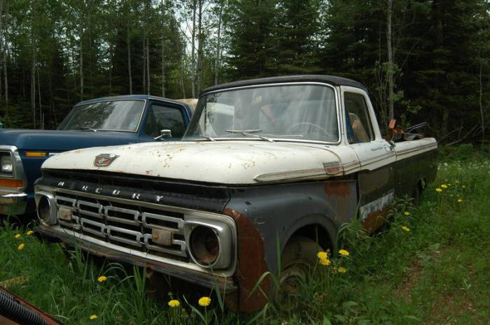 Pick-up Mercury M-100