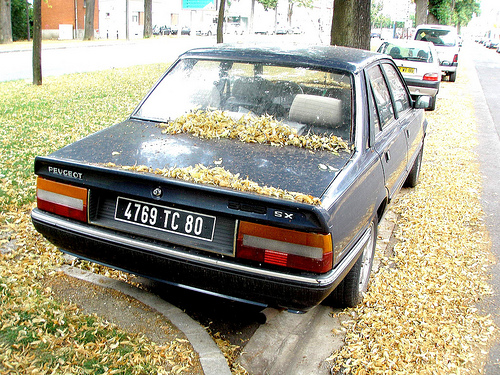 Peugeot 505 sx