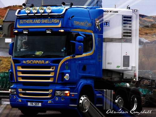 Modèle : Scania R580 V8