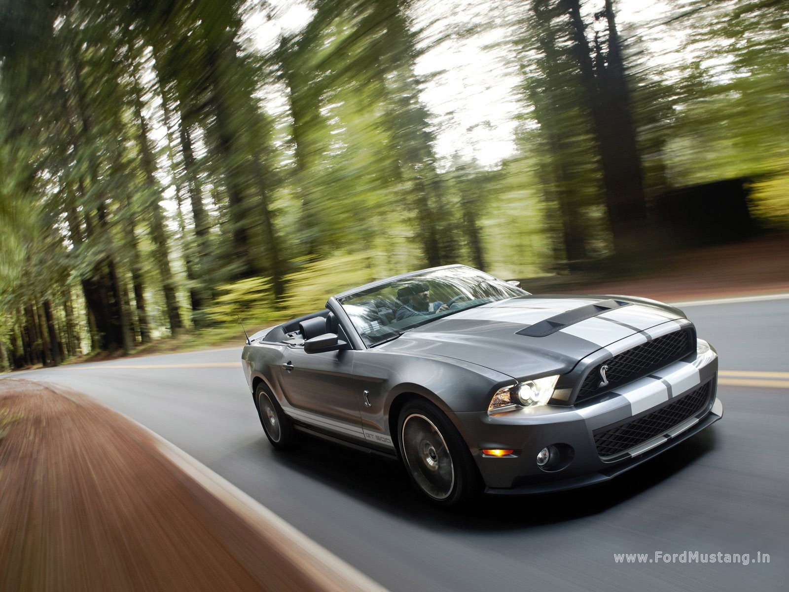 Cabriolet Shelby GT 500KR