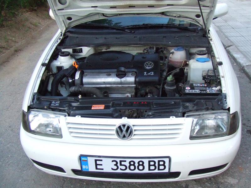 Volkswagen Polo Version